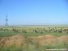 Herde in Stepen