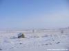 Winter in Steppen
